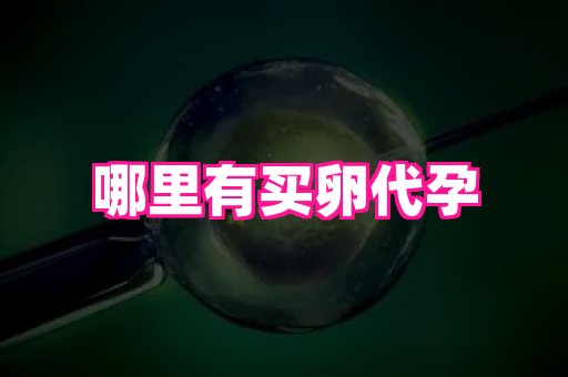 61助孕网 3